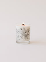 No. 07 Balsam and Ashes - 12 oz Glass Botanical Candle