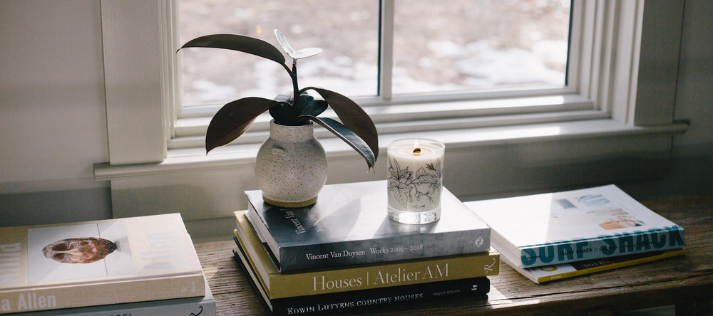 minimalist soy wooden wick candle burning in front of a window on top of books next to a small plant with the sun streaming in behind it