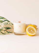 Olive Leaf + Lemon Soy Candle